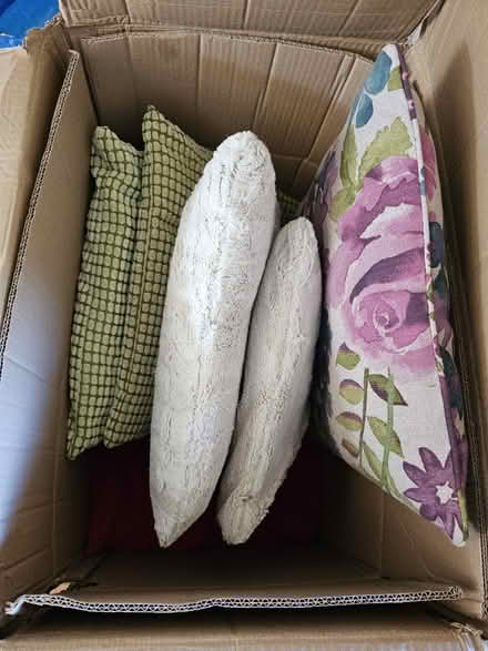 Photo of free Assorted cushions (CR8) #1