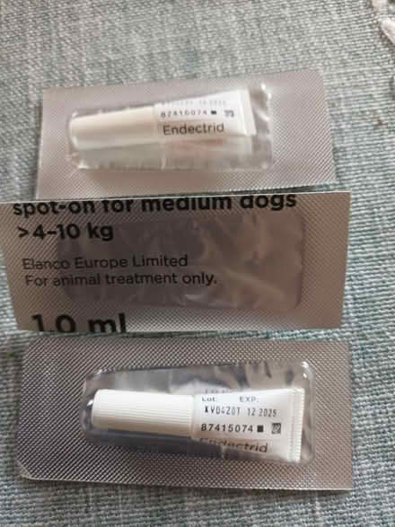Photo of free Dog flea control (TN39) #1