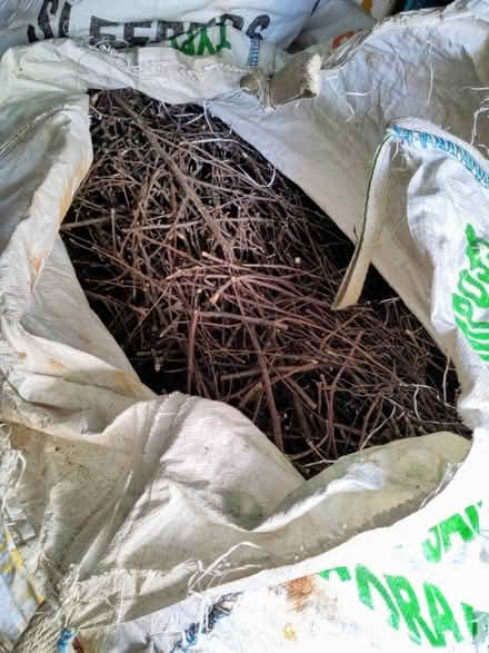 Photo of free Logs and kindling (Tonbridge North TN10) #2