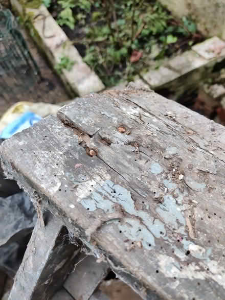 Photo of free Step ladder (Freehold, LA1) #1