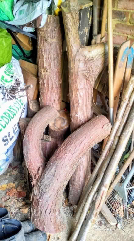 Photo of free Logs and kindling (Tonbridge North TN10) #1