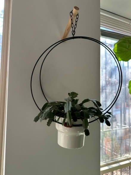 Photo of free Plant hanger (Columbia Heights) #1