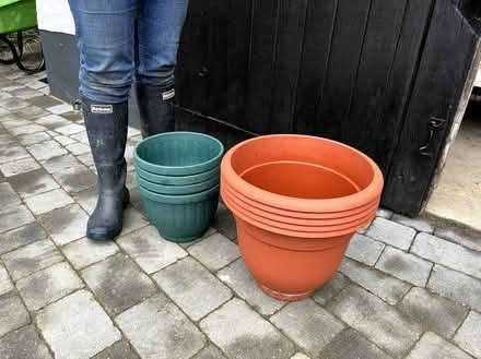 Photo of free Plastic Flowerpots (Frinton-on-Sea CO13) #1