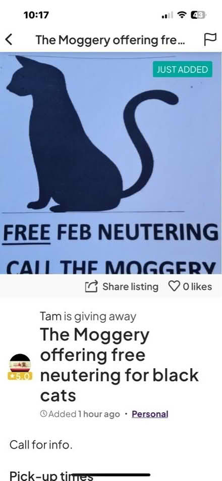 Photo of free black cat neutering (Horfield) #1