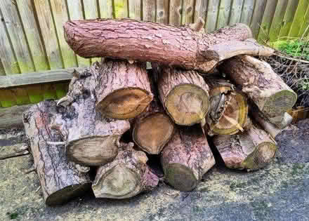 Photo of free Logs and kindling (Tonbridge North TN10) #4