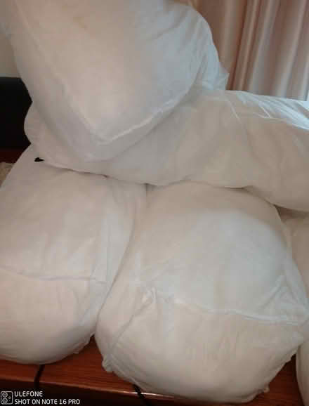 Photo of free Cushion fillers (Henbury) #1