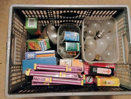 Photo of free Assorted light bulbs (PO15 Hill Park) #1