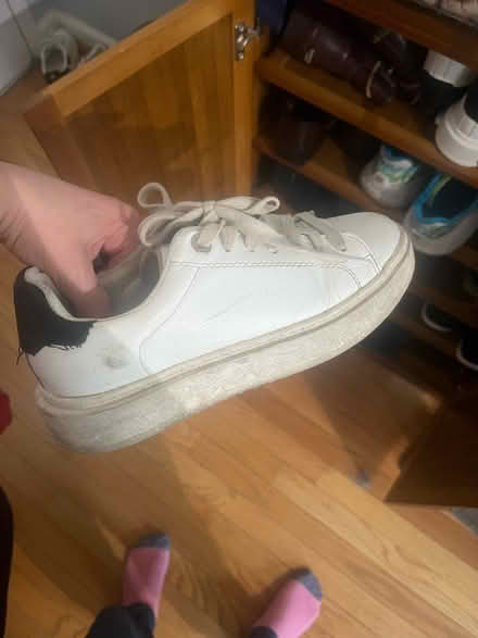 Photo of free Steve Madden Size 6 White Sneakers (Columbia Heights) #3