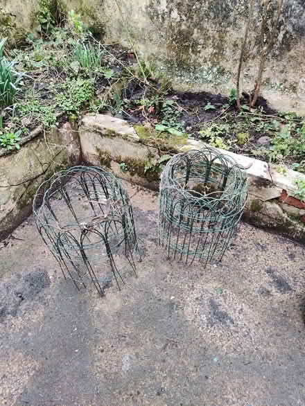 Photo of free Wire mesh for edging flower beds (Freehold, LA1) #1
