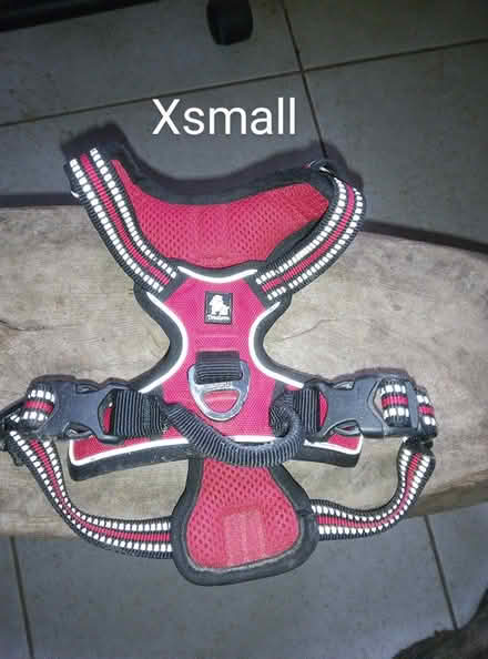 Photo of free 3 small dogs harnesses (Queenhill WR8) #3