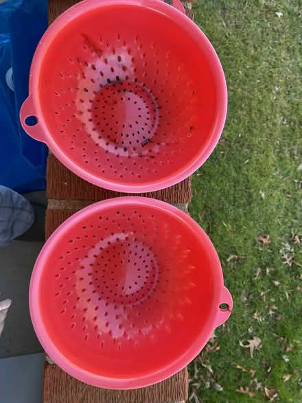 Photo of free Gardening Colanders (Stafford, VA) #1