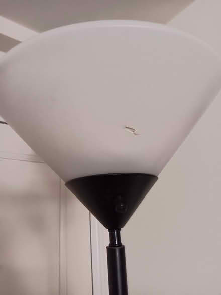 Photo of free Floor lamp (Columbia Heights) #1