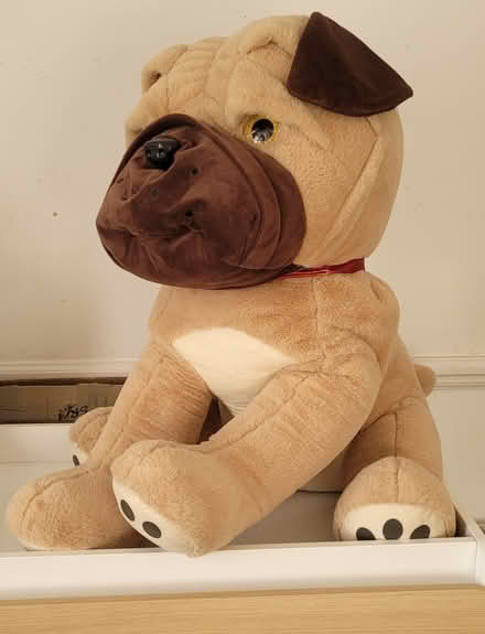 Photo of free Large Soft Toy (EN8 Waltham Cross) #3