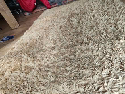 Photo of free Yellow carpet - Dunelm (Maidenhead) #3