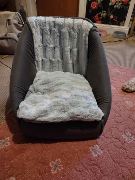 Photo of free Enclosed cat bed (Levenshulme M19) #1