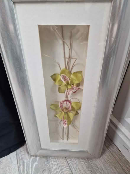 Photo of free 3d Orchid picure (Harrogate HG1) #1