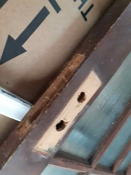 Photo of free Internal door, glass panes (Painswick GL6) #1