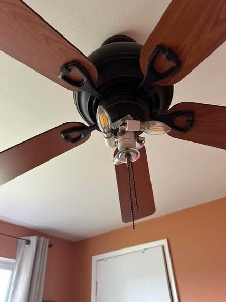 Photo of free Ceiling light with fan (Renton) #2