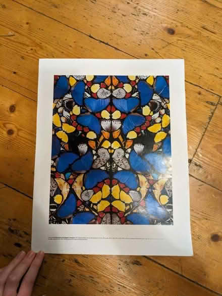 Photo of free Unframed print - Damian Hirst butterflies (Heeley Green S2) #1