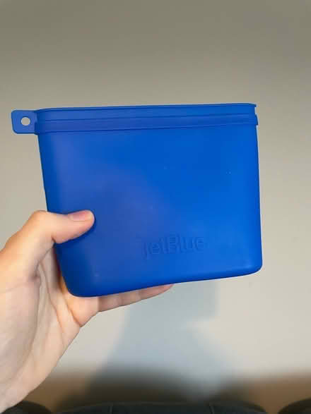 Photo of free Small purse JetBlue (SK7) #1
