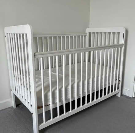 Photo of free Eric Cot (N10) #1