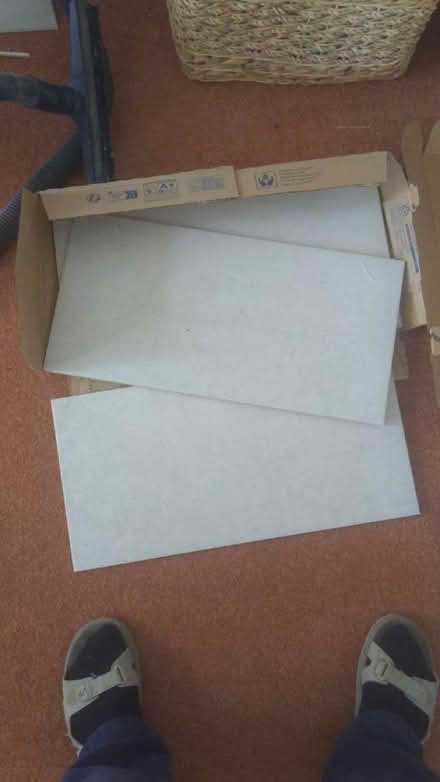 Photo of free 3 pale grey ceramic wall tiles (Fenham NE5) #3
