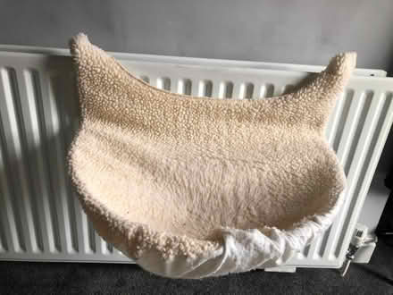 Photo of free Cat hammock (Woodseats S8) #4