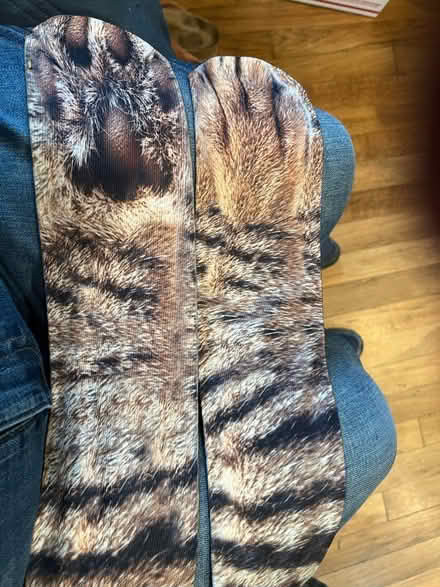 Photo of free Crazy Cat 🐈 Socks (Pleasure Point) #2