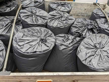 Photo of free vermiculite (dawlish) #1