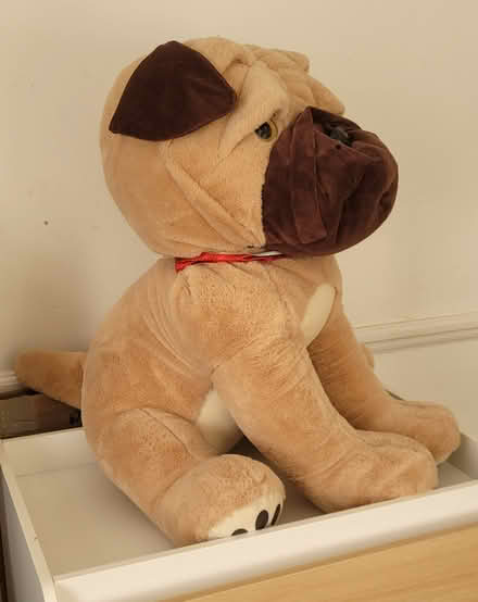 Photo of free Large Soft Toy (EN8 Waltham Cross) #2