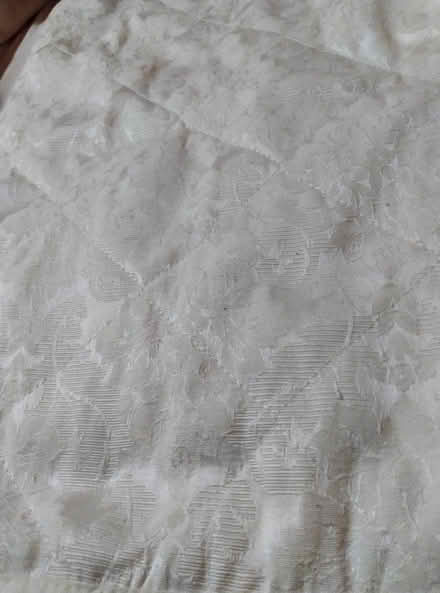 Photo of Damask printed cotton (Barkingside IG5) #1
