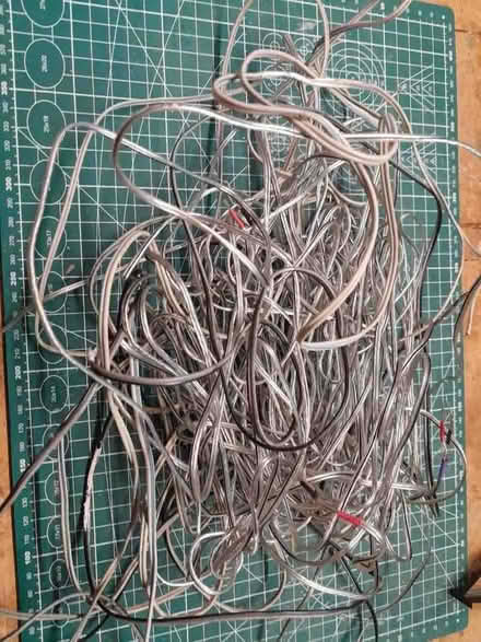 Photo of free Two core cable (South Bretton) #1
