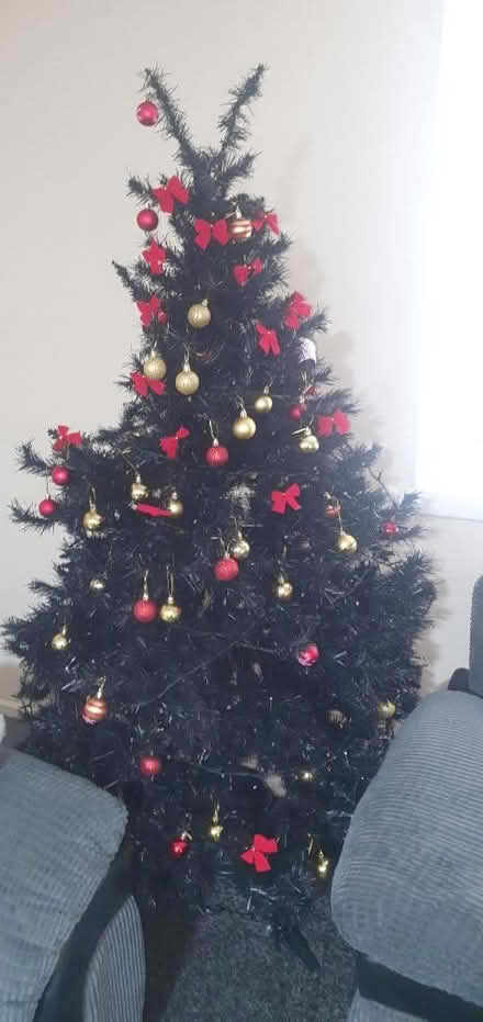 Photo of free Tall Christmas tree (LS12) #1