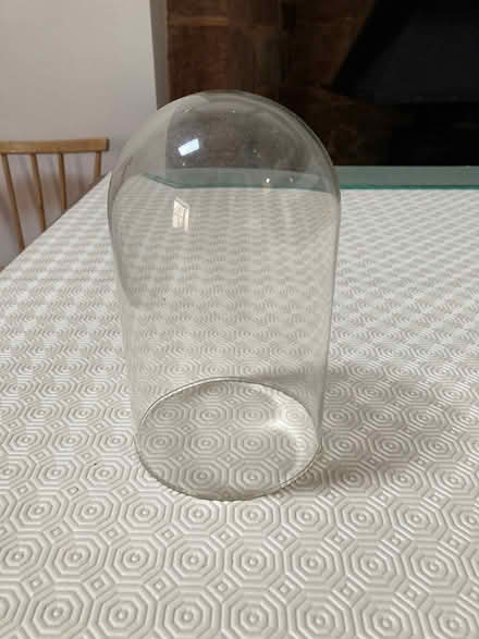 Photo of free Small glass dome (Lea, HR9) #1