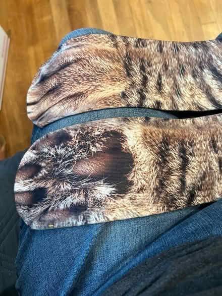 Photo of free Crazy Cat 🐈 Socks (Pleasure Point) #1