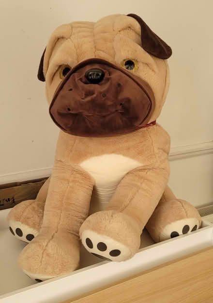 Photo of free Large Soft Toy (EN8 Waltham Cross) #1