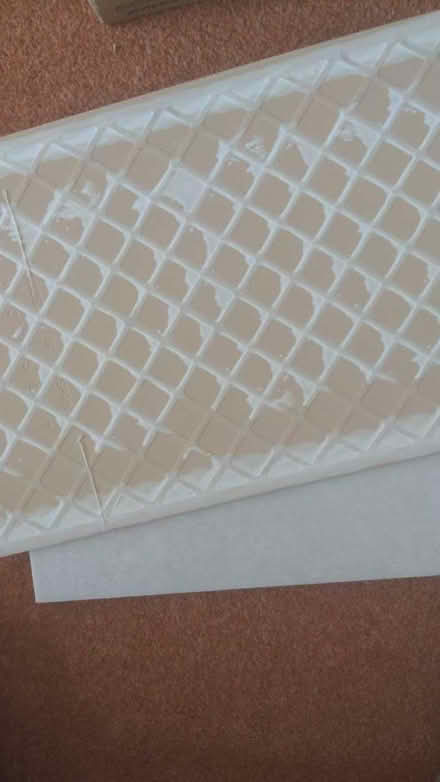 Photo of free 3 pale grey ceramic wall tiles (Fenham NE5) #4