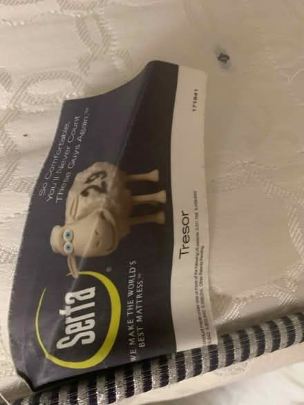 Photo of free Queen size mattress- used (hyattsville, MD near Takoma pk) #3