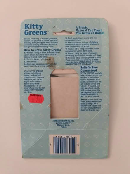 Photo of free Kitty Greens Cat Grass Seeds (Chestnut Hill, Newton) #3