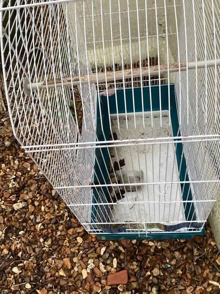 Photo of free Bird cage (Camberley) #1