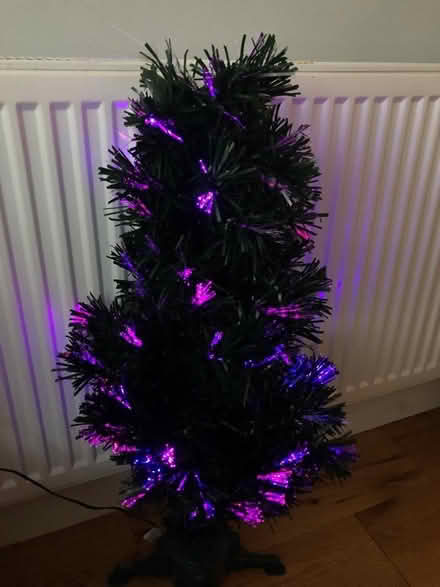 Photo of free Optical Christmas tree (Higher Bebington CH63) #1