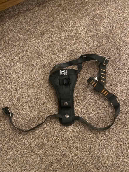Photo of free Dog seat belt (Chevy chase) #1