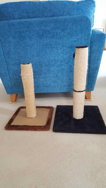 Photo of free Cat scratching posts (BA15 Centre Bradford on Avon) #1