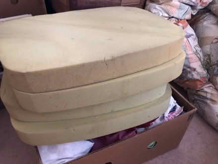 Photo of free Cushion pads (Swinnow LS28) #1