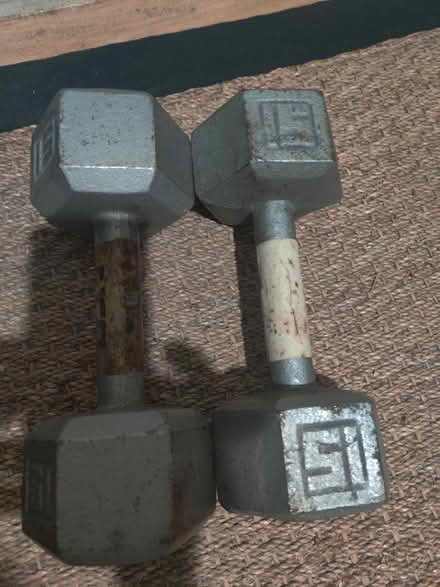 Photo of free 15 pound weights (Lower Haight) #1