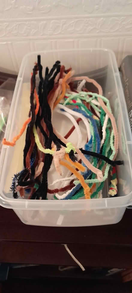Photo of free Coloured pipe cleaners (Crewe, Rope) #1