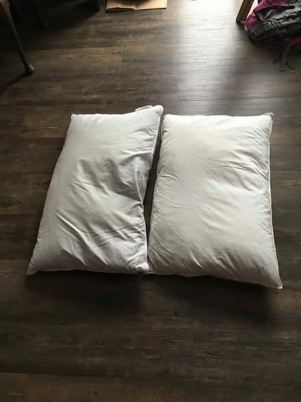 Photo of free Duck Feather Pillows (Mill Hill NW7) #1