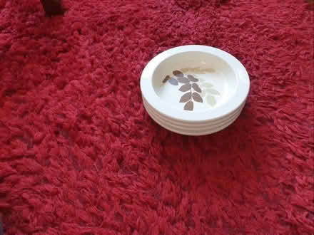 Photo of free Plates (Gosport PO13) #2