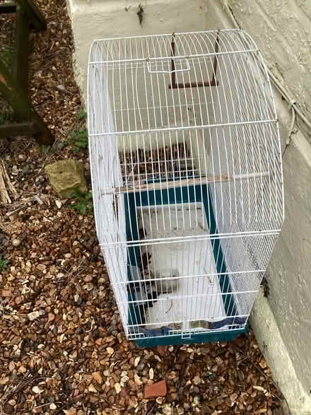 Photo of free Bird cage (Camberley) #4