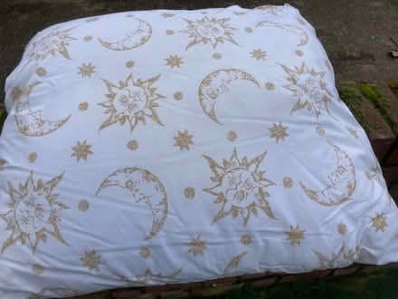 Photo of free 2 large cushions (Great Dunmow CM6) #1